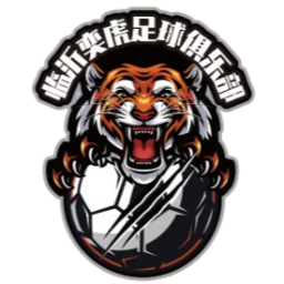 石家莊功夫U20